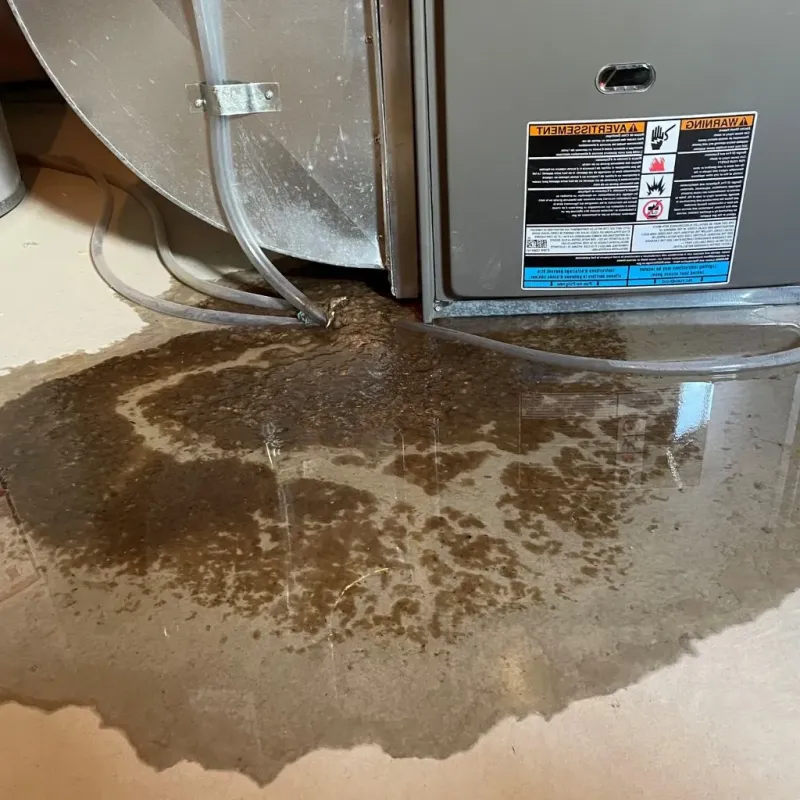 Pipe Burst and Leak Restoration in Hamilton County, OH