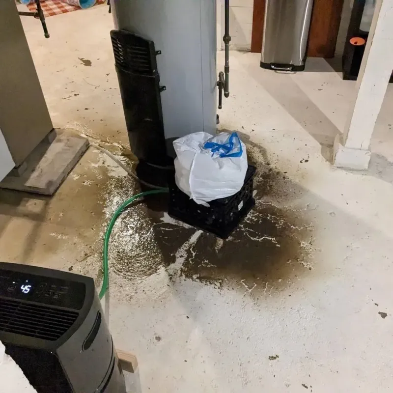 Sewage Backup Cleanup Service in Hamilton County, OH